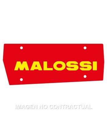 Filtro Aire Malossi Scarabeo 50
