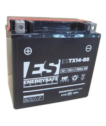 Batería Energysafe ESTX14-BS Sin Mantenimiento