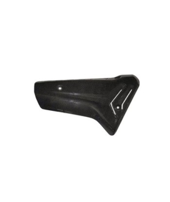Termignoni Protector de Carbono BMW S1000RR 2019-23
