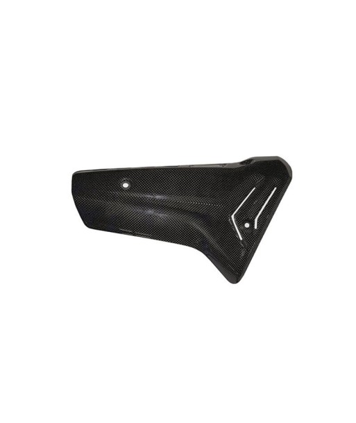 Termignoni Protector de Carbono BMW S1000RR 2019-23