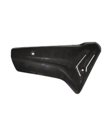 Termignoni Protector de Carbono BMW S1000RR 2019-23