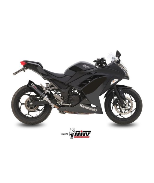 Mivv Slip-On GP carbon con tapa carbono Kawasaki Ninja 300 2013-16 / Z300 2015-16