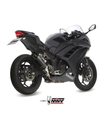 Mivv Slip-On GP carbon con tapa carbono Kawasaki Ninja 300 2013-16 / Z300 2015-16