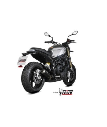 Mivv Slip-On Mk3 carbono Benelli Leoncino 800 2022-24