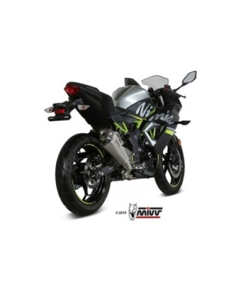 Mivv Slip-On Delta Race St. Steel Kawasaki Ninja 125 / Z125 2019-24