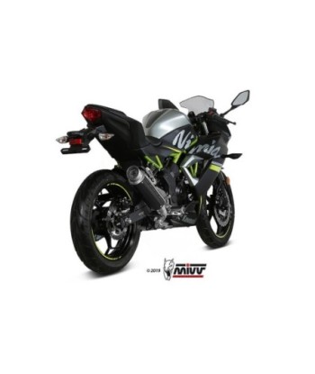 Mivv Slip-On GP Pro carbono Kawasaki Ninja 125 / Z125 2019-24