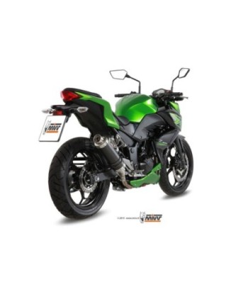 Mivv Slip-On GP carbon Kawasaki Ninja 300 2013-16 / Z300 2015-16