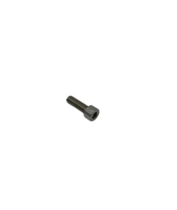 MIVV Screw (50.73.858.1)