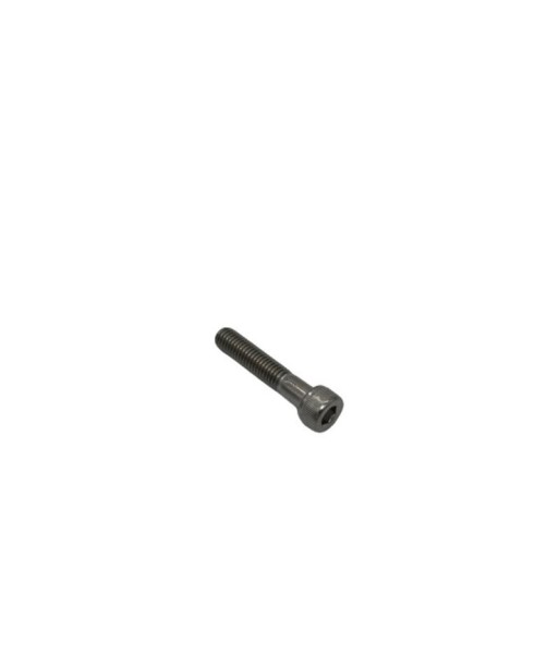MIVV Screw (50.73.602.1)
