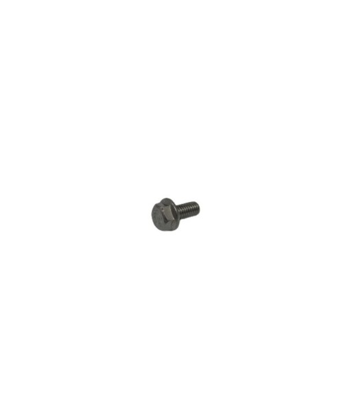 MIVV Screw (50.73.006.1)
