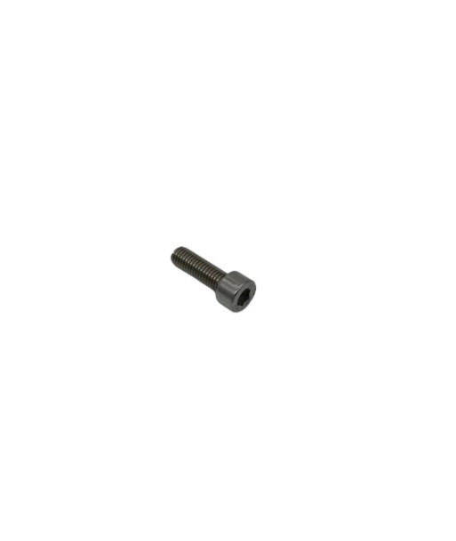 MIVV Screw (50.73.064.1)