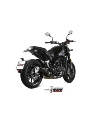 Mivv Slip-On Oval carbono con tapa carbono Benelli Leoncino 2019-25