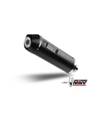 Mivv Slip-On Oval carbono con tapa carbono BMW R 1150 R 2000-06