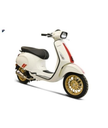 Termignoni Escape Completo Slip On Conical Negro Piaggio VESPA 125- PRIMAVERA /150 2008-22