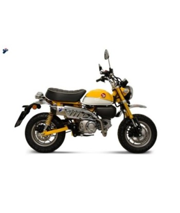 Termignoni Escape Completo Honda MONKEY 125 2018-24