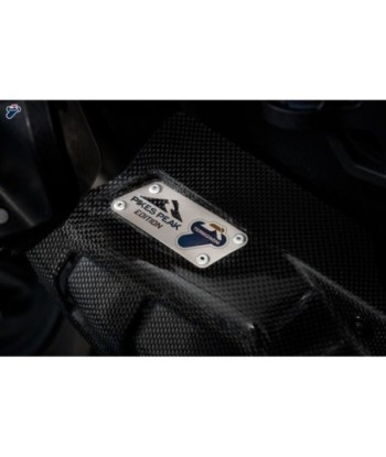 Termignoni Silencioso Titanio Ducati MULTISTRADA 1200-1260 2015-21