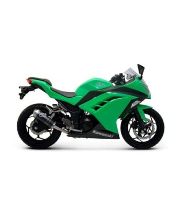 Termignoni Silencioso Relevance Carbono Kawasaki NINJA 300R 2012-17