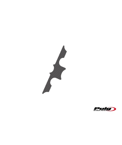 PROTECTOR TIJA CARBONO BMW R1100GS/1150GS (.)