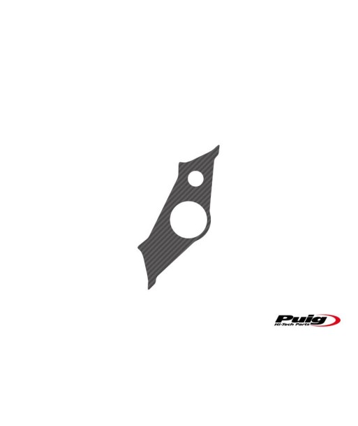 PROTECTOR TIJA CARBONO YAMAHA R6 03-04'