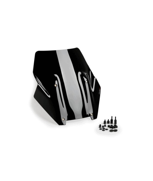 CUPULA SPORT HARLEY DAVIDSON PAN AMERICA 1250 21'