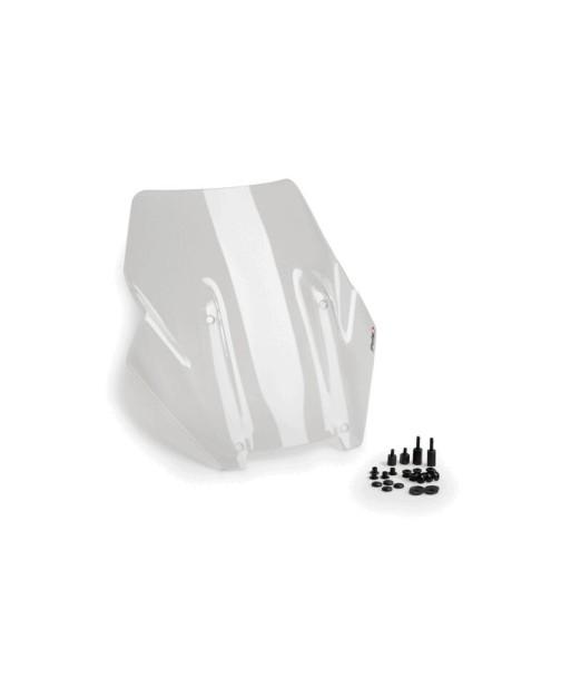 CUPULA SPORT HARLEY DAVIDSON PAN AMERICA 1250 21'