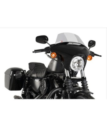 CARENABRIS BATWING SML TOURING HD SPORTSTER IRON