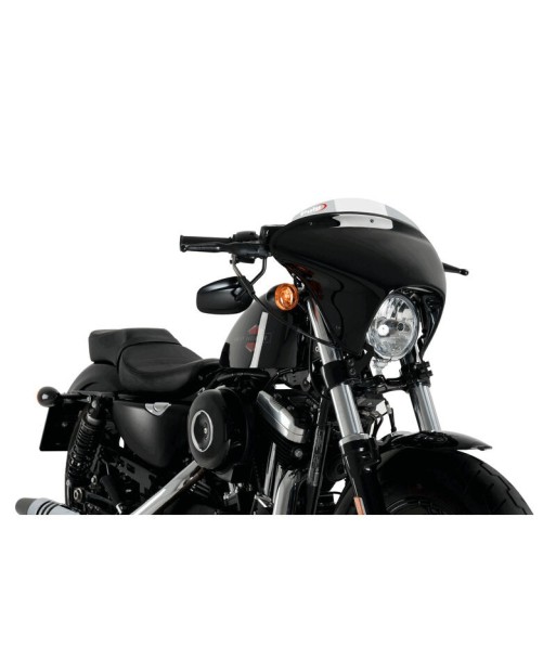 CARENABRIS BATWING SML SPORT HD SPORTSTER FORTY-EI