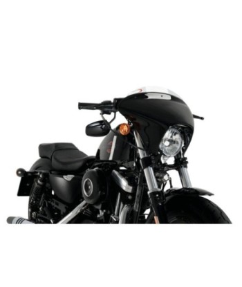 CARENABRIS BATWING SML SPORT HD SPORTSTER FORTY-EI