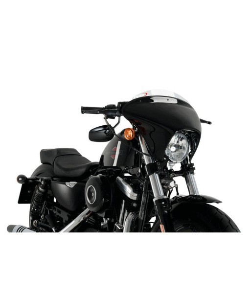 CARENABRIS BATWING SML SPORT HD SPORTSTER FORTY-EI