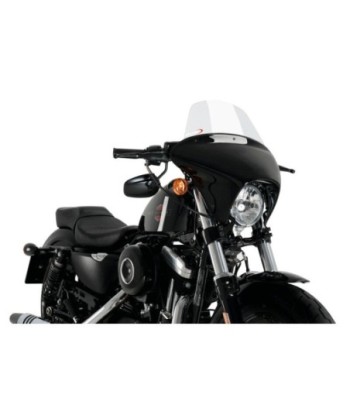 CARENABRIS BATWING SML TOURING HD SPORTSTER FORTY-