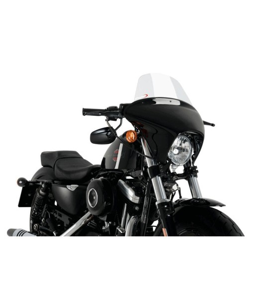 CARENABRIS BATWING SML TOURING HD SPORTSTER FORTY-