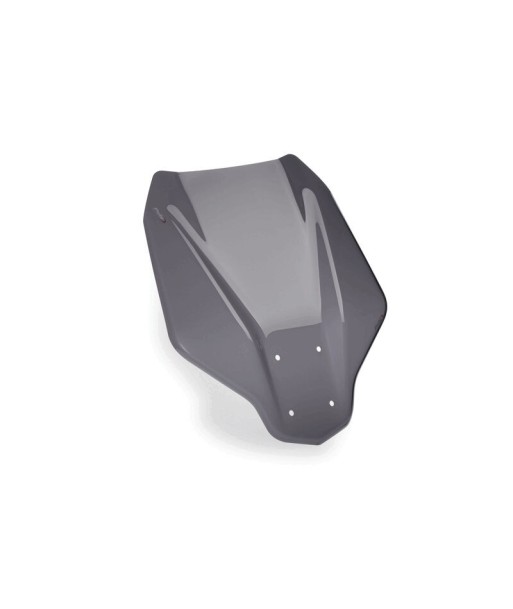 CARENABRIS V-TECHLINE TOURING BMW CE 04 22'C/A.OSC