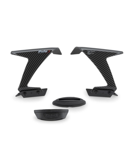 CONJUNTO DE ALERONES RACE BMW S1000RR 23'- CARBONO