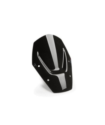 CUPULA SPORT SIN ACC/SIN RADAR BMW R1300GS 24'