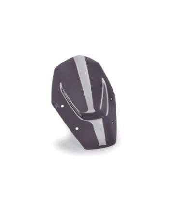 CUPULA SPORT SIN ACC/SIN RADAR BMW R1300GS 24'