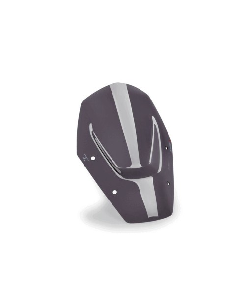 CUPULA SPORT SIN ACC/SIN RADAR BMW R1300GS 24'