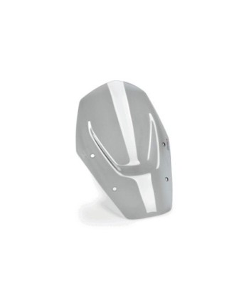 CUPULA SPORT SIN ACC/SIN RADAR BMW R1300GS 24'