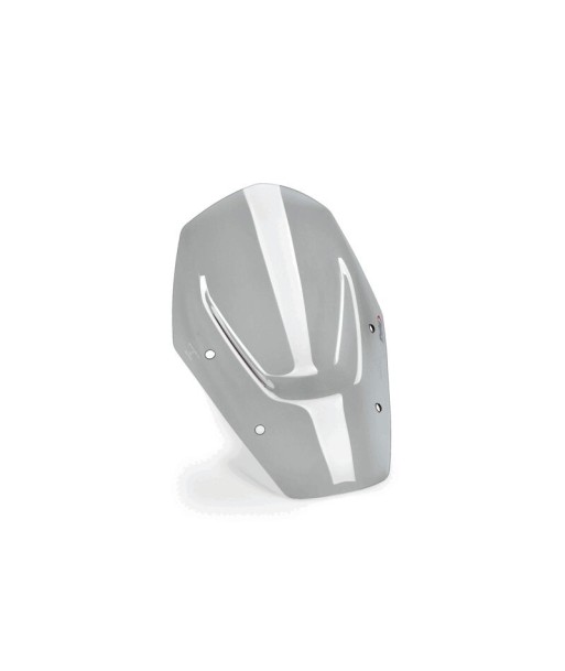 CUPULA SPORT SIN ACC/SIN RADAR BMW R1300GS 24'