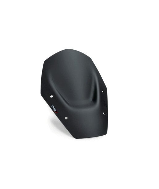 CUPULA SPORT SIN ACC/SIN RADAR BMW R1300GS 24'