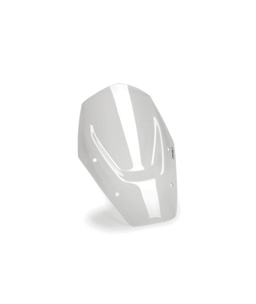 CUPULA SPORT SIN ACC/SIN RADAR BMW R1300GS 24'