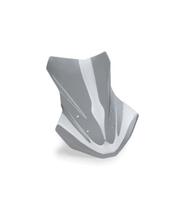 CUPULA TOURING PLUS SIN ACC/SIN RADAR BMW R1300GS