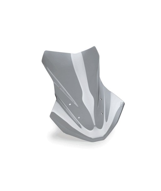 CUPULA TOURING PLUS SIN ACC/SIN RADAR BMW R1300GS