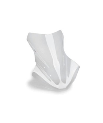 CUPULA TOURING PLUS SIN ACC/SIN RADAR BMW R1300GS