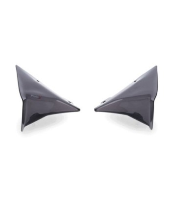 DEFLECTORES FRONTAL EXTENDED BMW R1300GS 23'- C