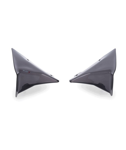 DEFLECTORES FRONTAL EXTENDED BMW R1300GS 23'- C