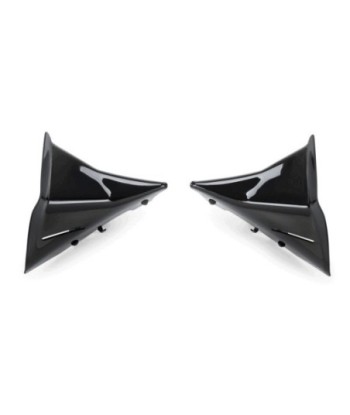 DEFLECTORES FRONTALES EXTENDED BMW R1300GS 23'- C