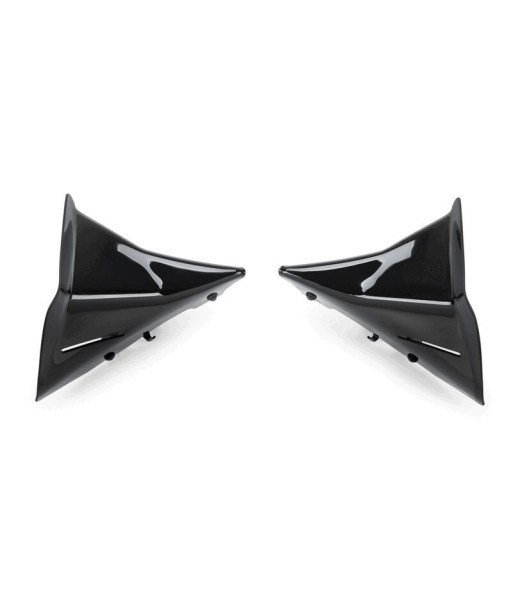 DEFLECTORES FRONTALES EXTENDED BMW R1300GS 23'- C