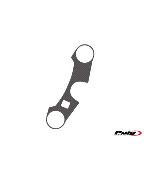 PROTECTOR TIJA CARBONO SUZUKI GSXR1000 05-06(.)