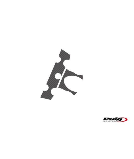 PROTECTOR TIJA YAMAHA FZ6 09-10'/FAZER S2 07-10'