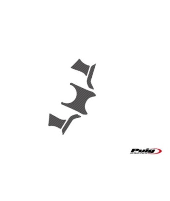 PROTECTOR TIJA CARBONO BMW GS1200R 08-12'